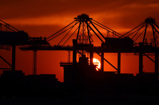 Rising Sun Exports